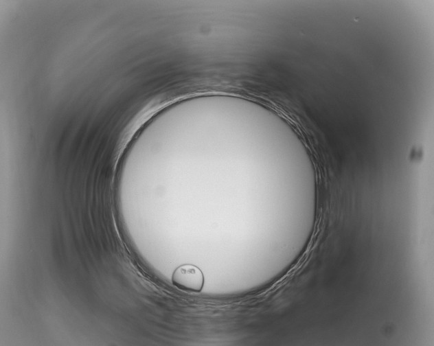 X0000114400195200910161104