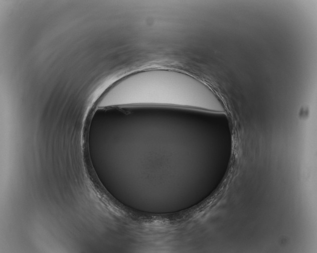 X0000114400196200910161104