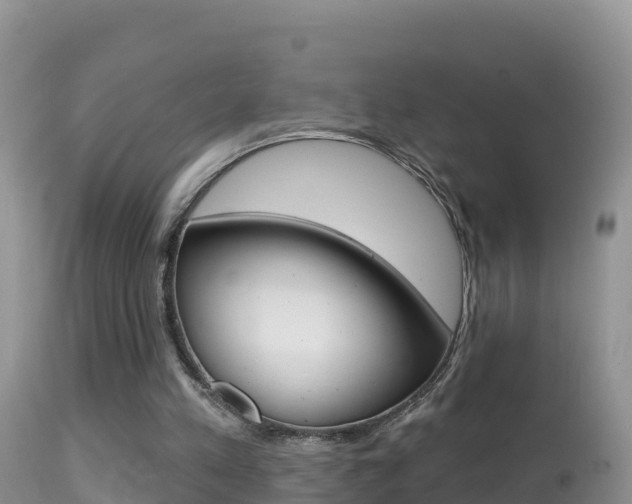 X0000114400197200910161104