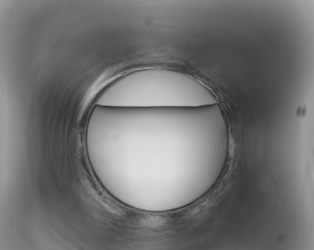 X0000114400198200910161104