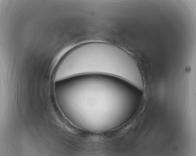 X0000114400200200910161104