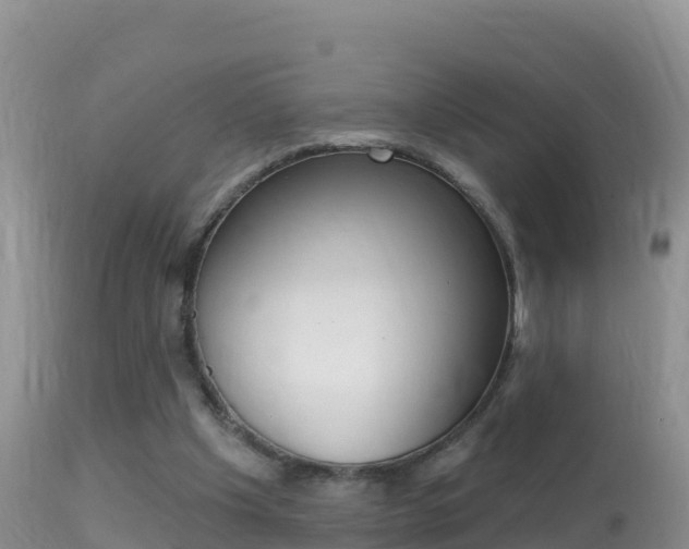 X0000114400201200910161104