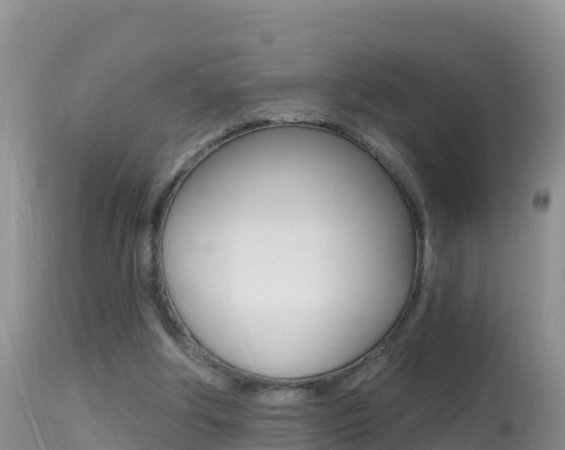 X0000114400202200910161104