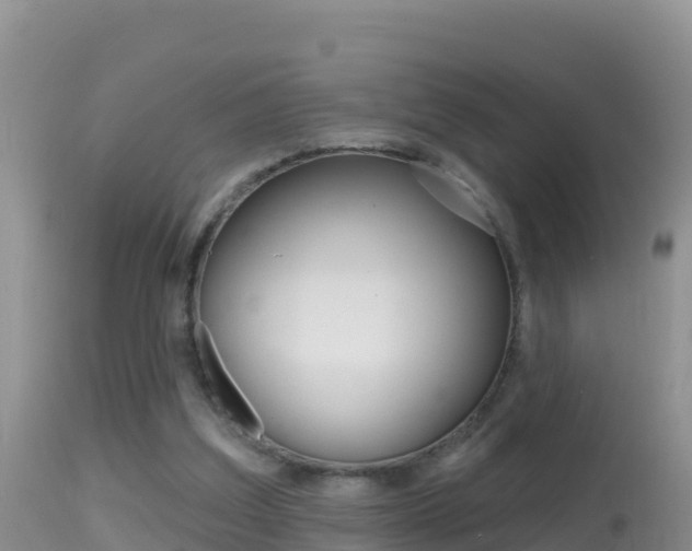 X0000114400203200910161104