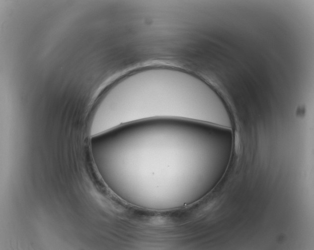 X0000114400204200910161104