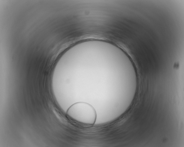 X0000114400205200910161104