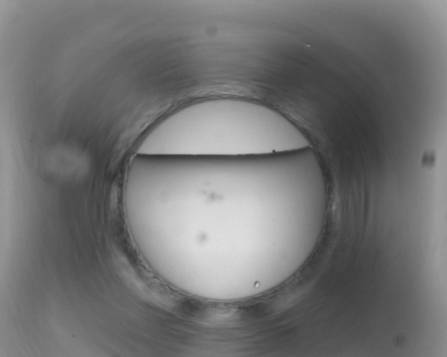 X0000114400206200910161104