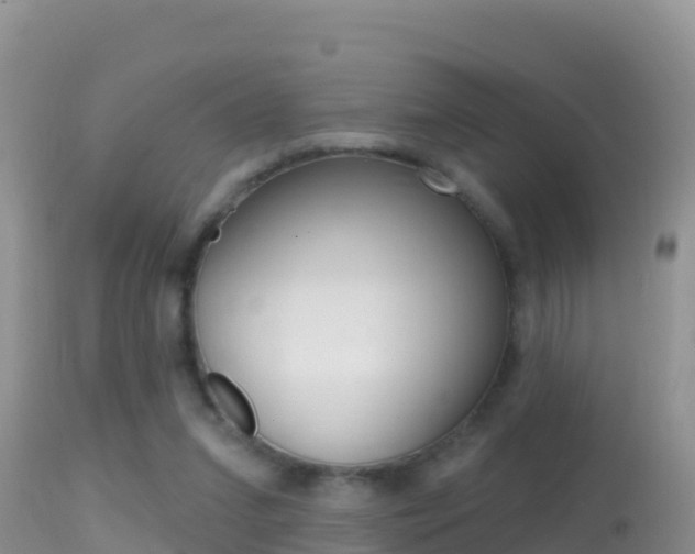 X0000114400207200910161104