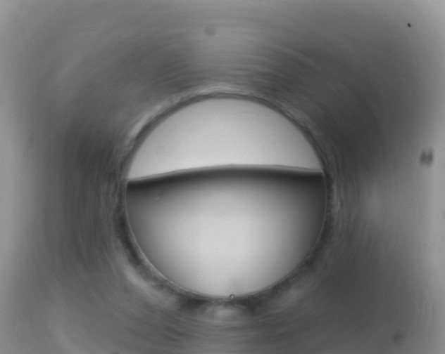 X0000114400208200910161104