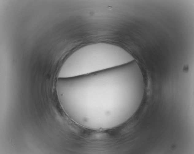 X0000114400210200910161104
