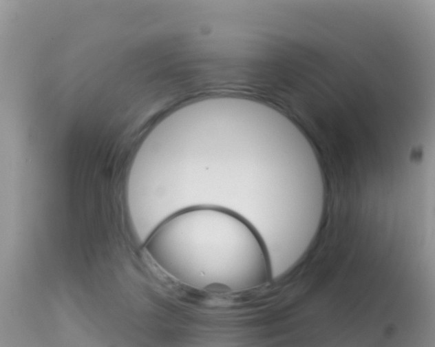 X0000114400211200910161104