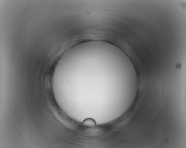 X0000114400213200910161104