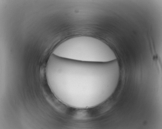 X0000114400214200910161104