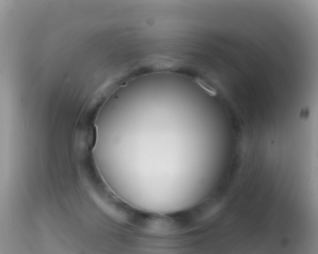 X0000114400215200910161104
