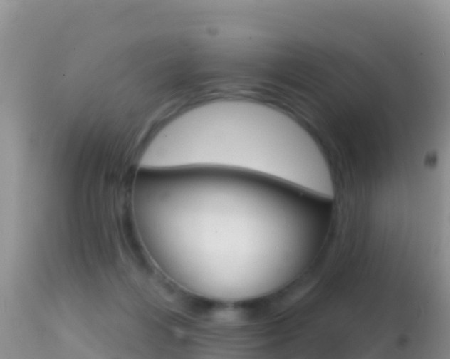 X0000114400216200910161104