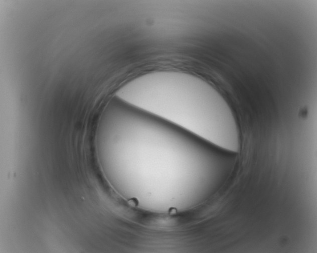 X0000114400217200910161104