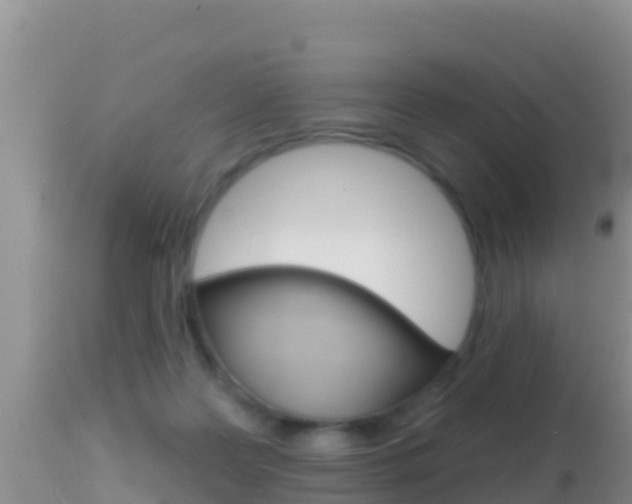 X0000114400219200910161104