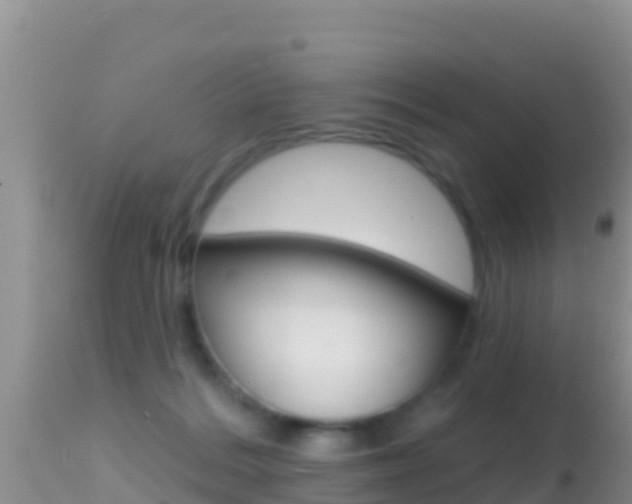 X0000114400220200910161104