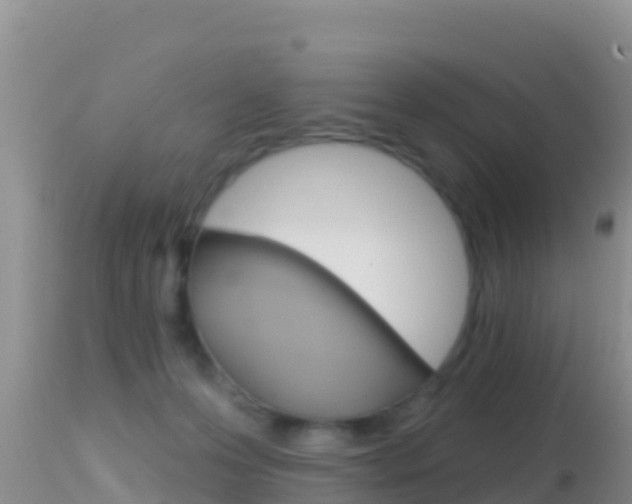 X0000114400223200910161104
