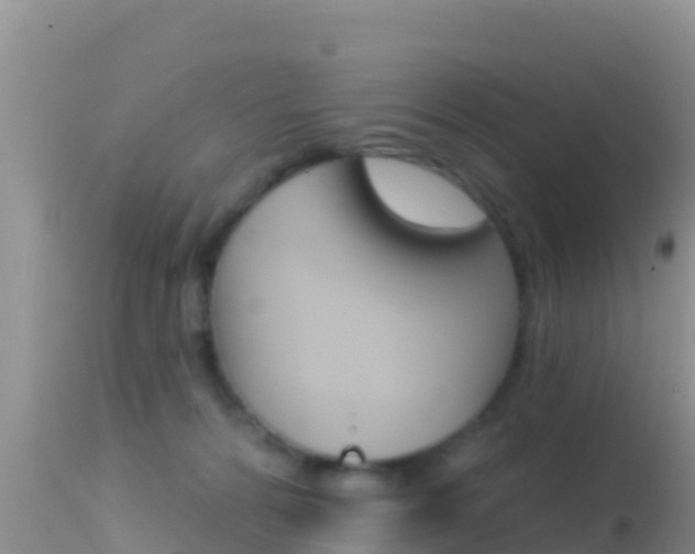 X0000114400224200910161104