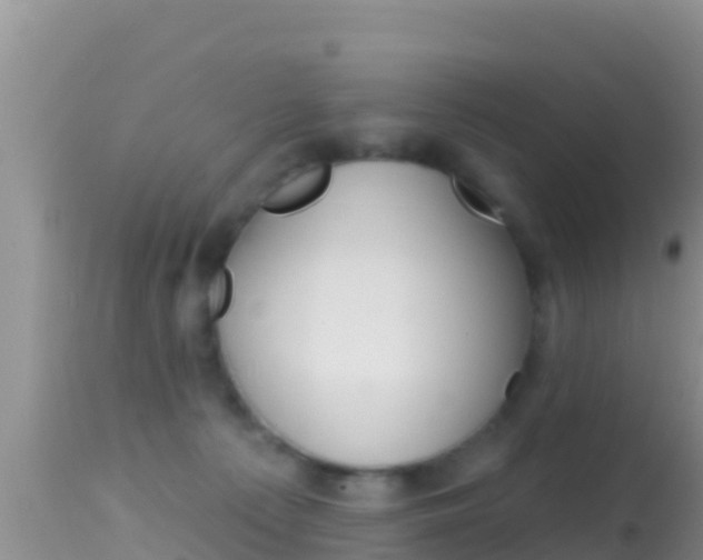 X0000114400225200910161104