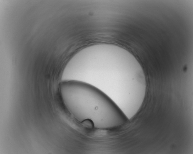 X0000114400227200910161104