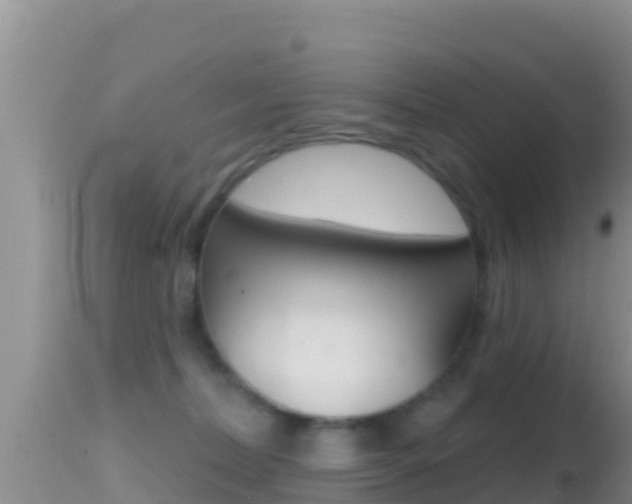 X0000114400228200910161104