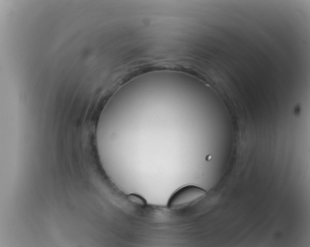 X0000114400229200910161104
