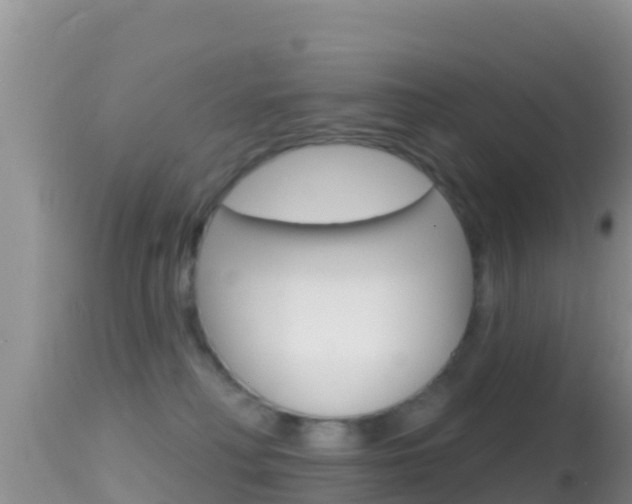 X0000114400230200910161104