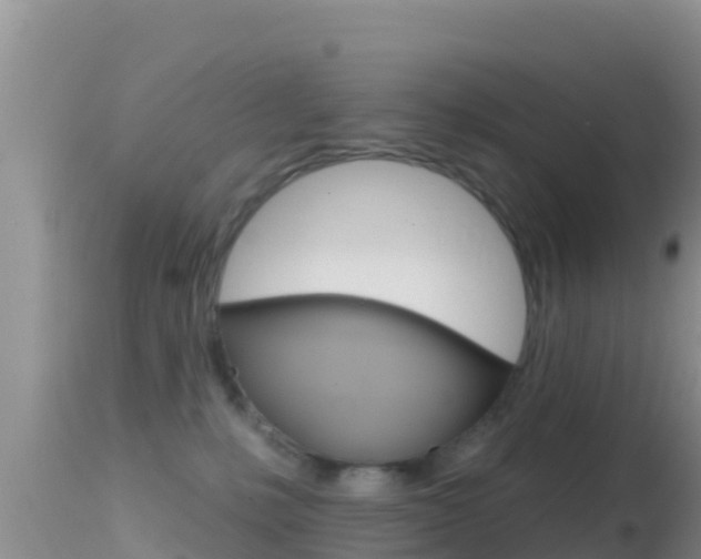 X0000114400231200910161104