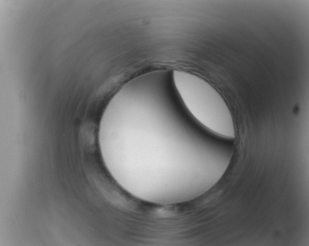 X0000114400232200910161104