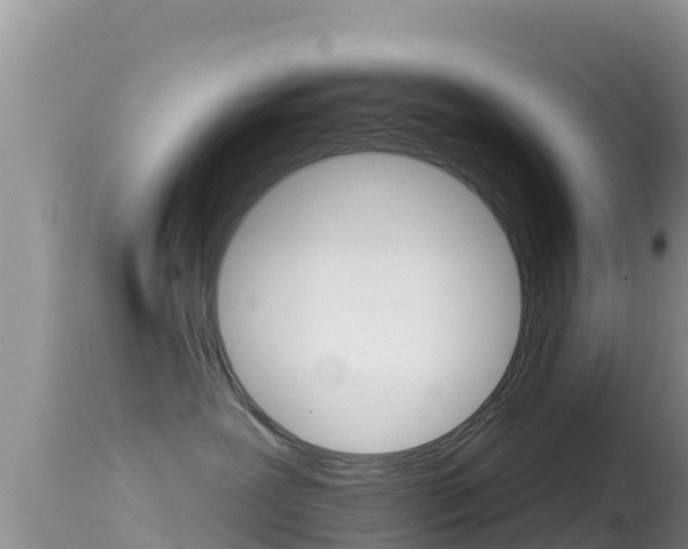 X0000114400239200910161103
