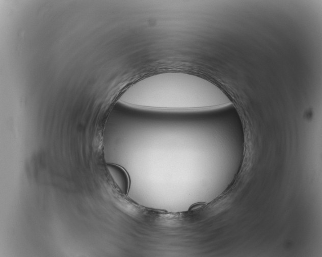 X0000114400240200910161103