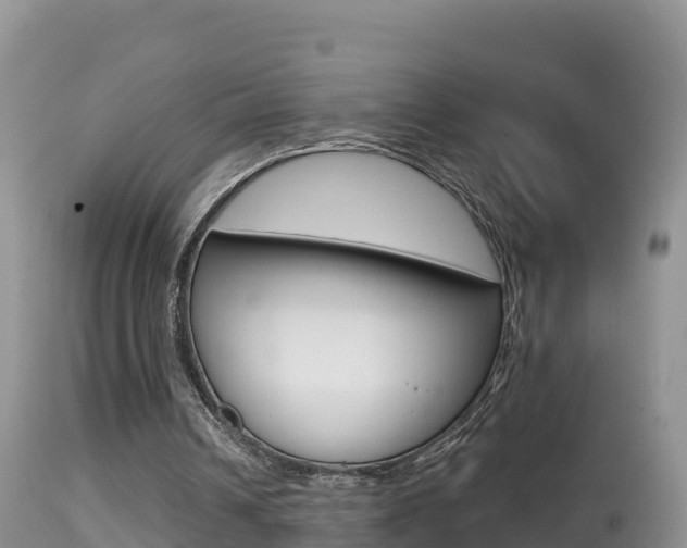 X0000114400242200910161103