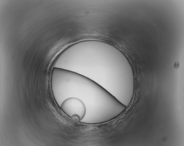 X0000114400243200910161103