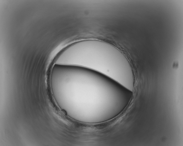 X0000114400246200910161103