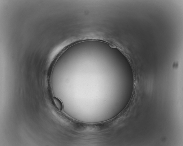 X0000114400248200910161103