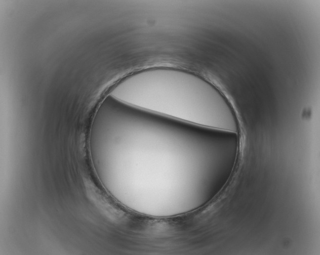 X0000114400249200910161103
