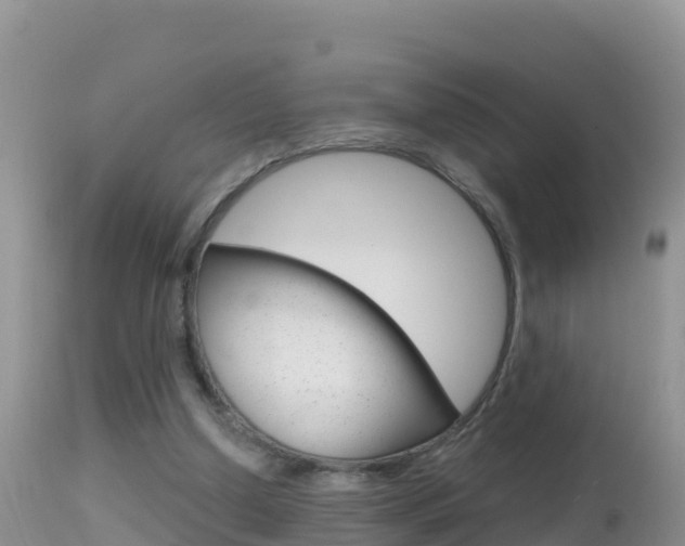 X0000114400250200910161103