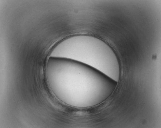 X0000114400251200910161103