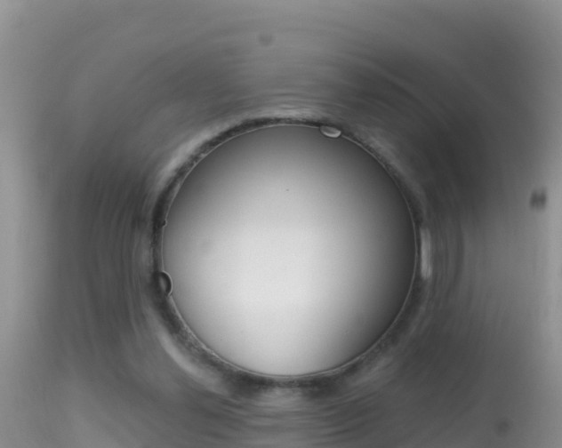 X0000114400252200910161103