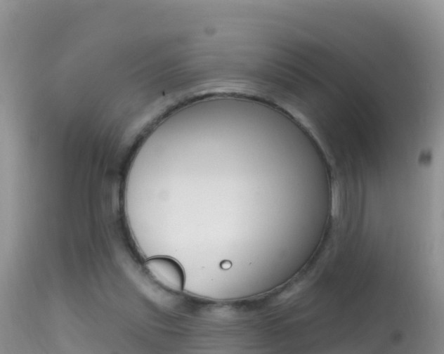 X0000114400253200910161103