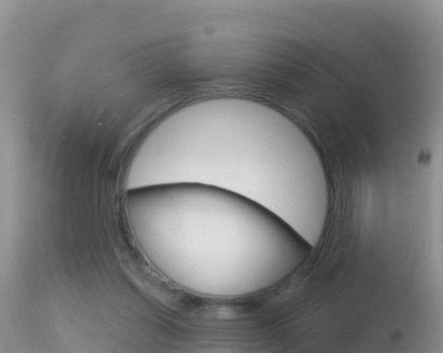 X0000114400254200910161103