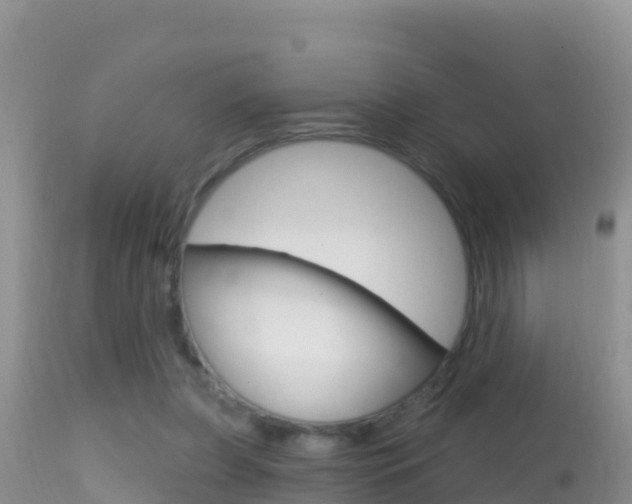 X0000114400255200910161103