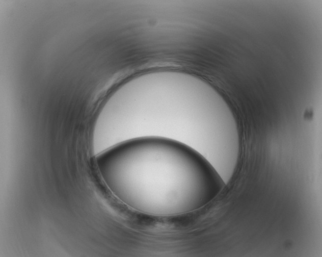 X0000114400256200910161103