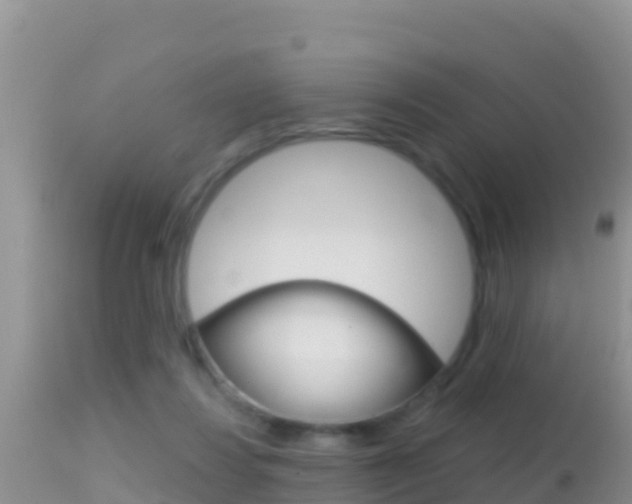 X0000114400260200910161103