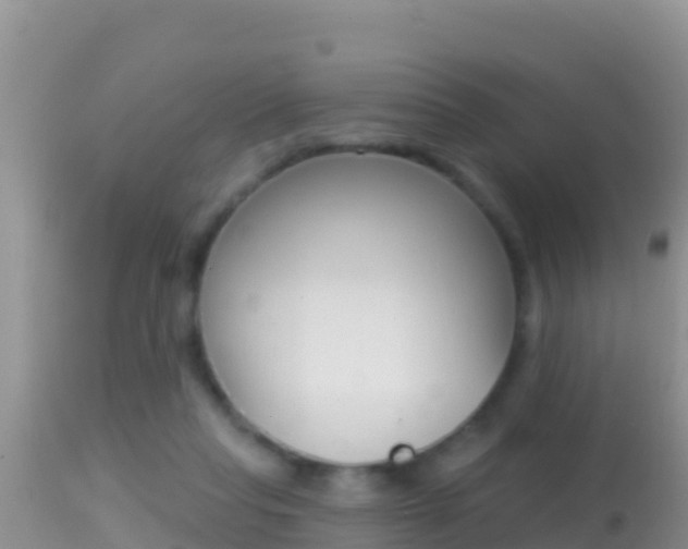 X0000114400261200910161103