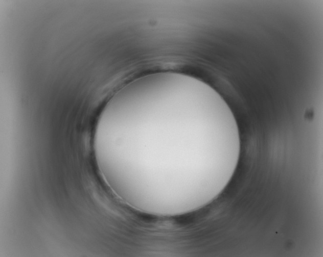 X0000114400262200910161103