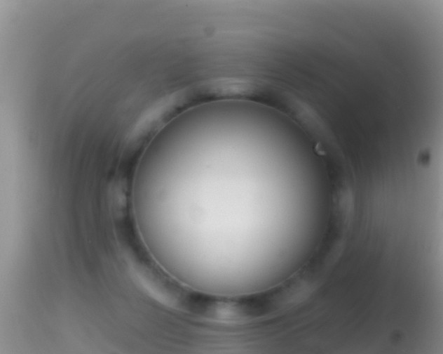 X0000114400264200910161103