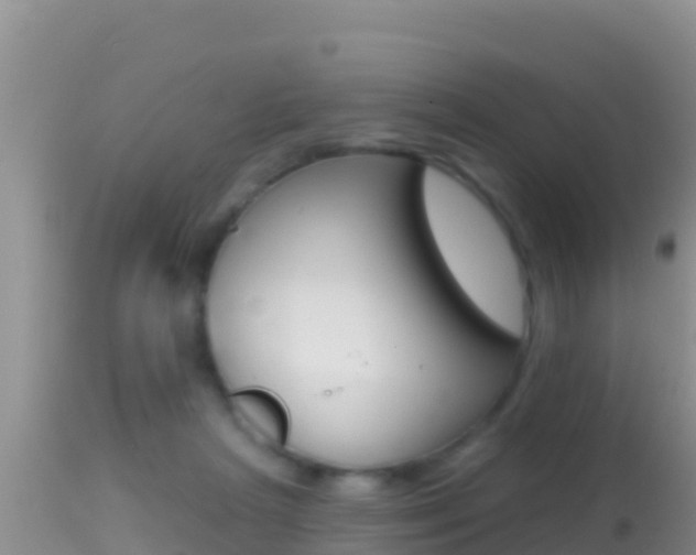X0000114400265200910161103